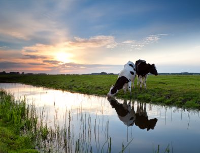 Noord Holland