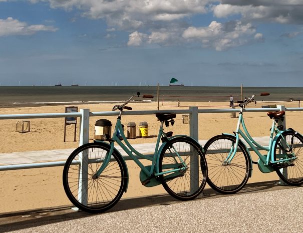 Fietsen langs de Noordzee kust