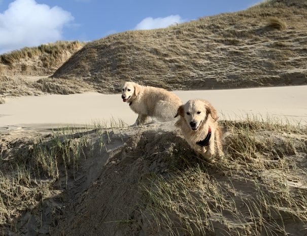 Uitwaaien op het strand